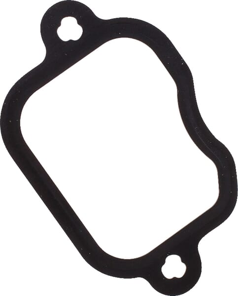 Einlassdichtung von Deutz 04500537