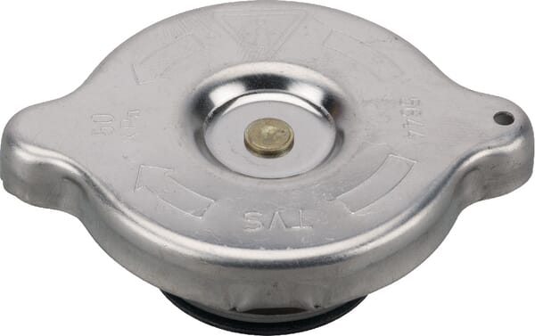 Kühlerdeckel (V31679810) von Agco