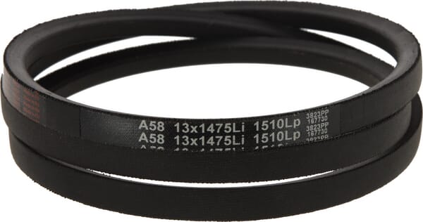 V-belt (1000243216) von Weidemann