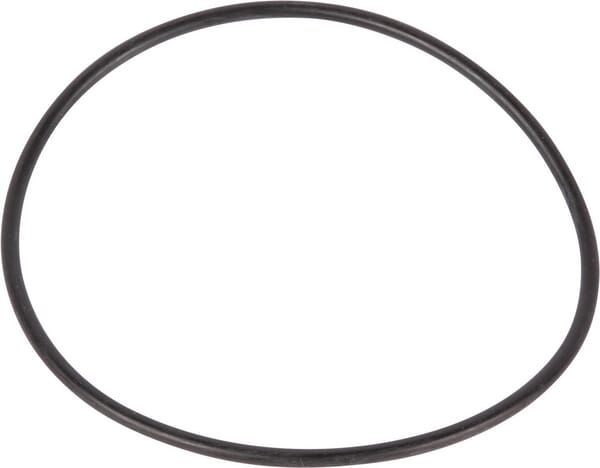 O-Ring (3000440X1) von Agco