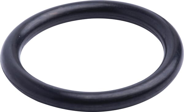 O-Ring (86629540) von Case IH