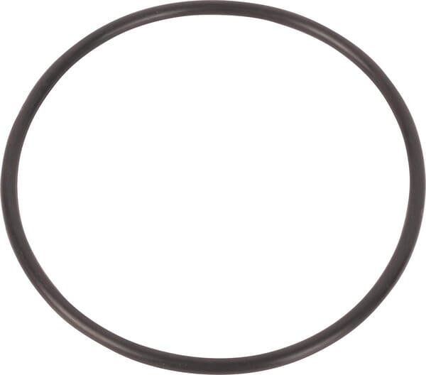 O-Ring (119393A1) von Case IH