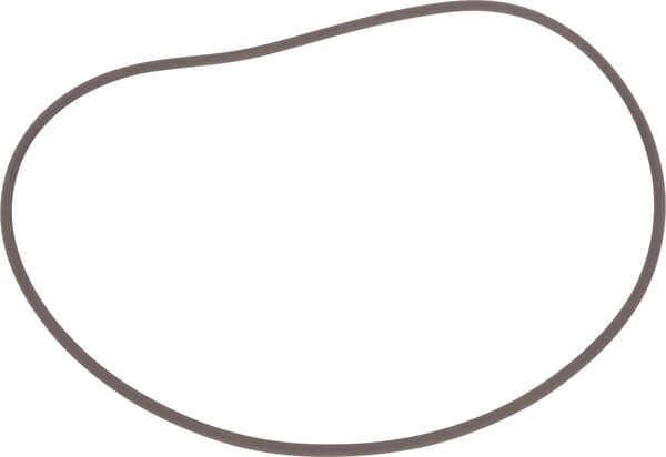 O-Ring, 144,4x3,1 mm, 75 Duro (8603410) von Case IH