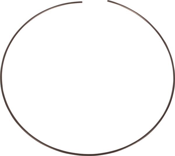 Sicherungsring (4986355) von Case IH