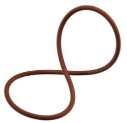 O-Ring (17291481FPT) von New Holland