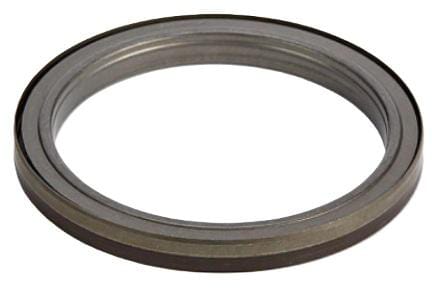 Wellendichtring (5801625924FPT) von New Holland