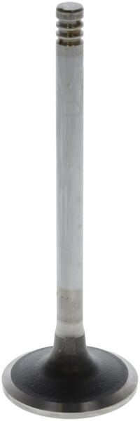 Einlassventil von Deutz 04284042