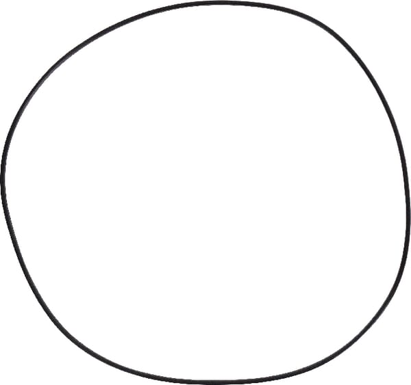 Dichtungen (4306809M1) von Agco