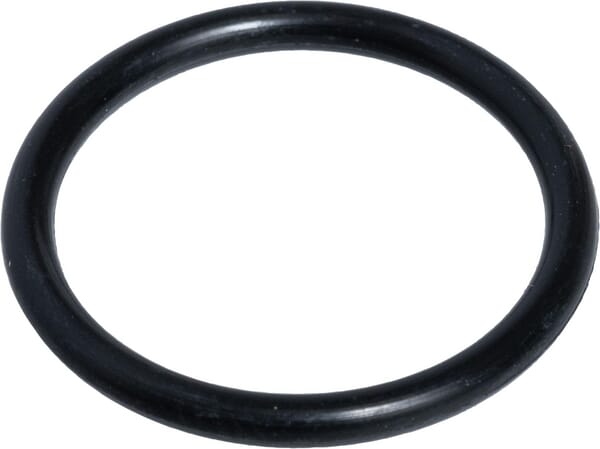 O-Ring (84579780) von Case IH