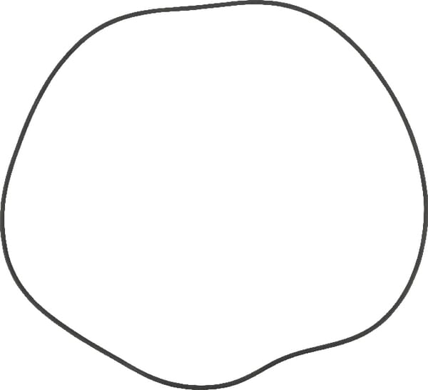 O-Ring (82060072) von Kuhn