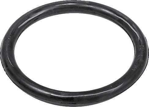 880831 O-Ring 15,5 x 2,62 O-Ring 15,5 x 2,62 880831