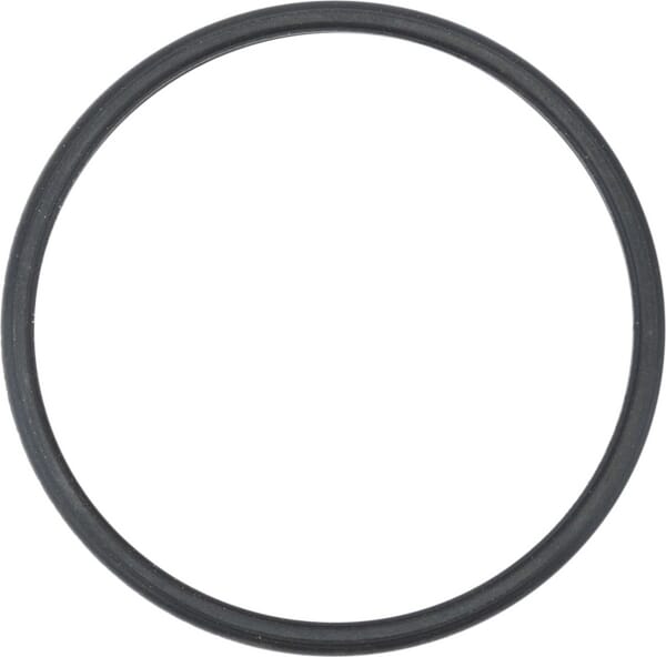 Dichtung Thermostat (504387771) von Case IH