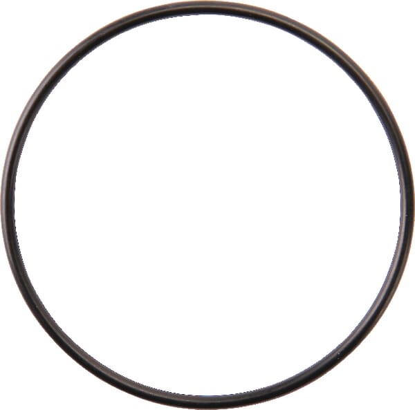 Dichtung Kraftstoffpumpe (VKH4781) von Agco