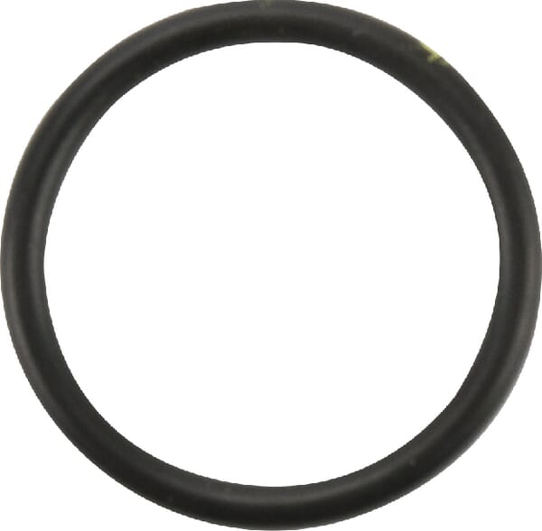 O-Ring / Unterlegscheibe (14457780) von Case IH
