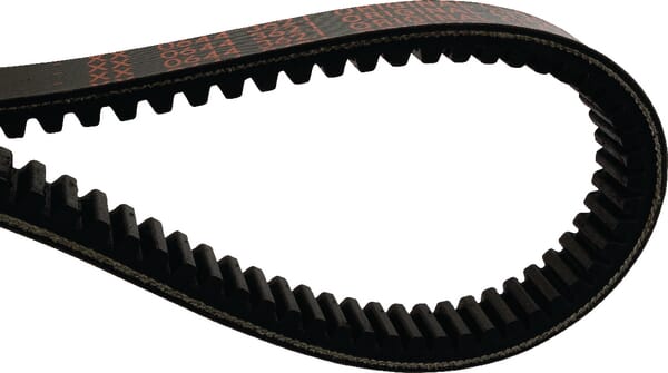 PowerBand-Riemen (0006443621) von Claas