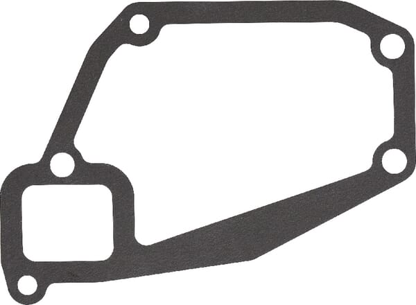 Dichtung (4224302M1) von Agco