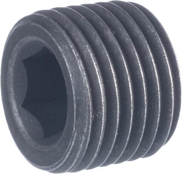 Zapfen (JX000989) von Kuhn