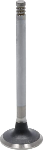 Auslassventil von Deutz 04284043