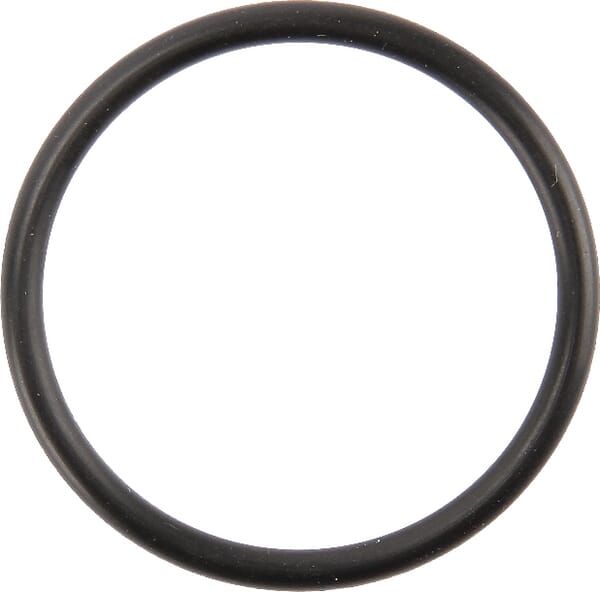 Dichtung Förderpumpe (6005022041) von Claas