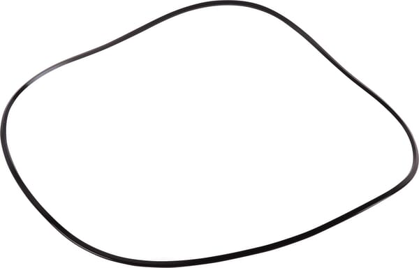 Dichtring, 289,3x298,9x3,2 mm (76045022) von New Holland