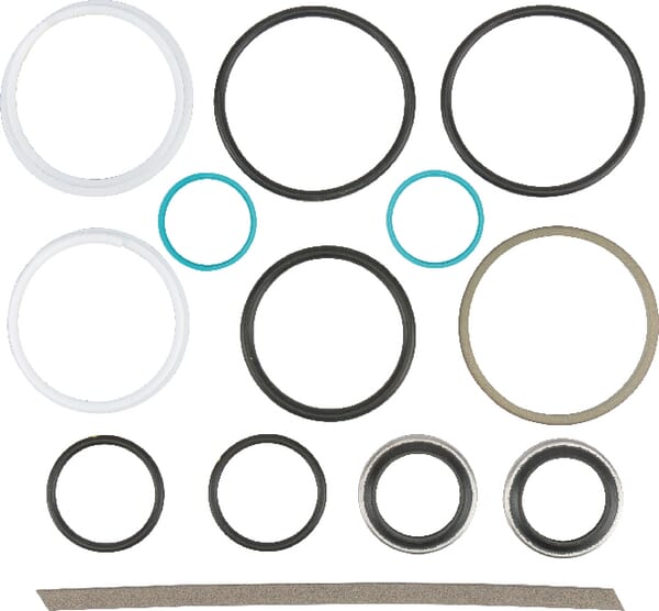 Lenkzylinder Dichtungssatz (G001990010010) von Agco