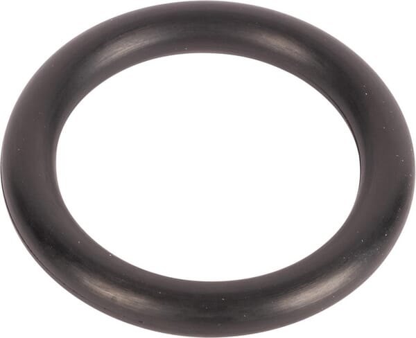 O-Ring (3010466X1) von Agco