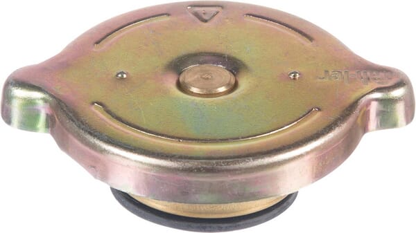 Kühlerdeckel (V30247600) von Agco