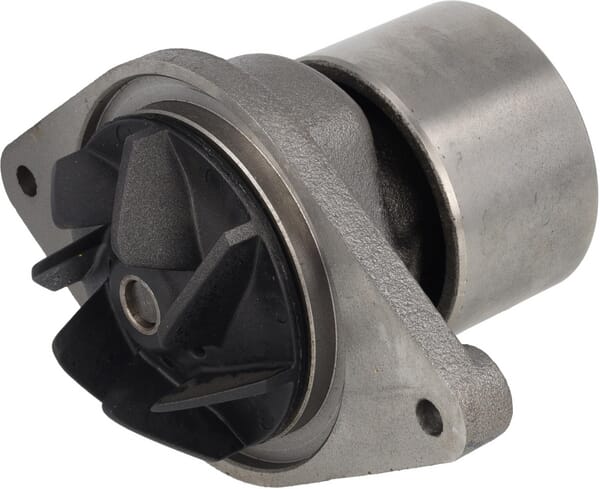 Wasserpumpe (5802497076) von Case IH