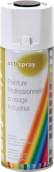 ET25913 Sprühdose Schwarz Etesia Sprühdose Schwarz #ET25913