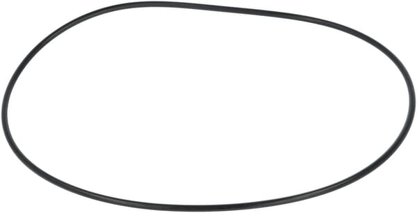 Dichtring (F119200310200) von Agco