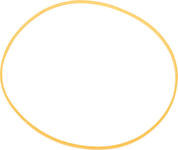 Sicherungsring (92562C1) von Case IH