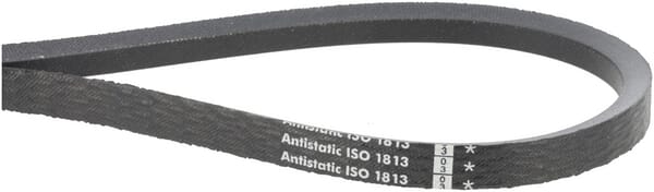 Keilriemen (JC02101959) von JCB