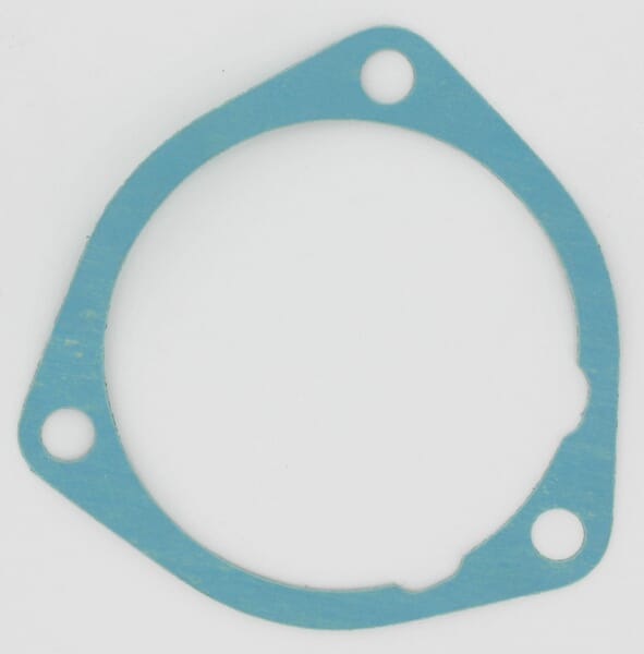 Dichtung Zapfwelle Case - IH (1970891C1) von Case IH