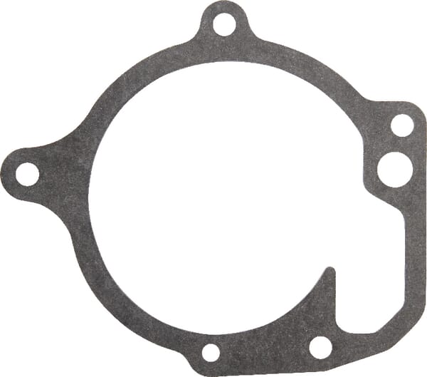 Dichtungen Wasserpumpe (V836764046) von Agco