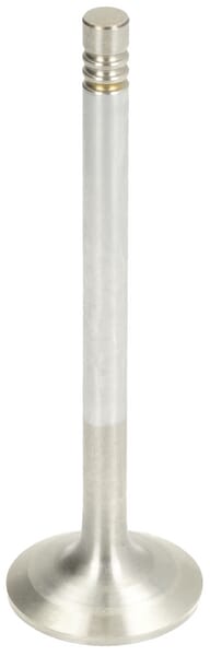 Einlassventil von Deutz 04291386