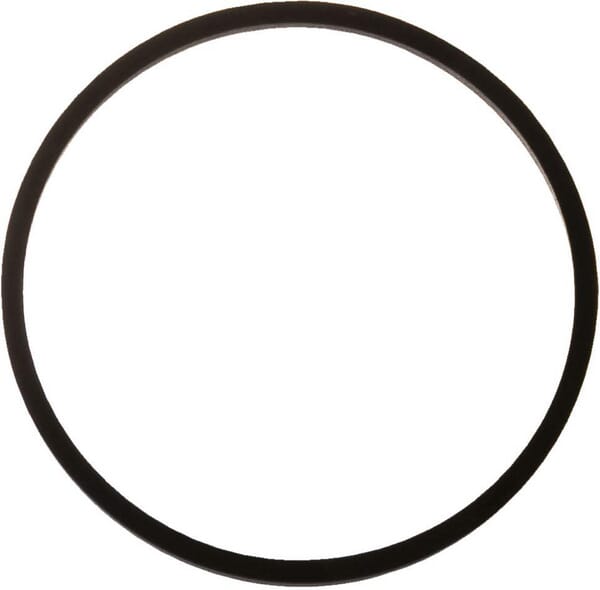 Dichtring Eingangswelle Case - IH (A175509) von Case IH