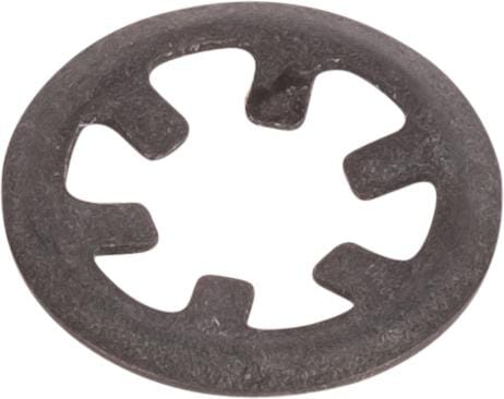 Ring (377493X1) von Agco