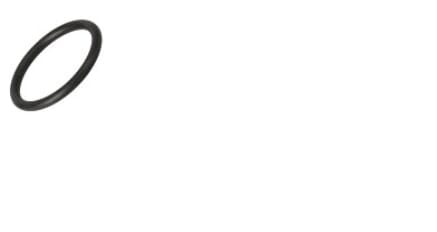 O-Ring (17282280FPT) von New Holland