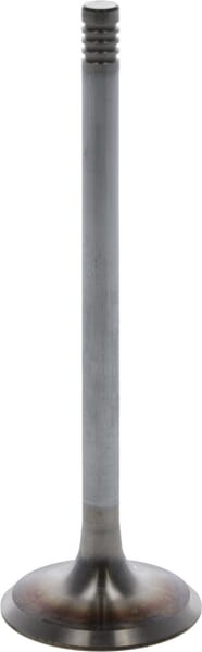 Einlassventil von Deutz 04240778