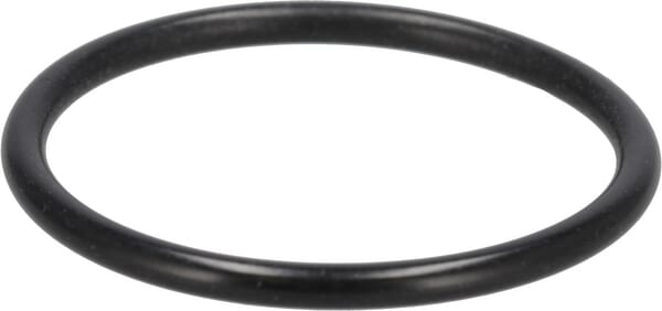 O-Ring (3147943R1) von Case IH