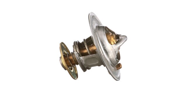 Thermostat (504038890FPT) von New Holland