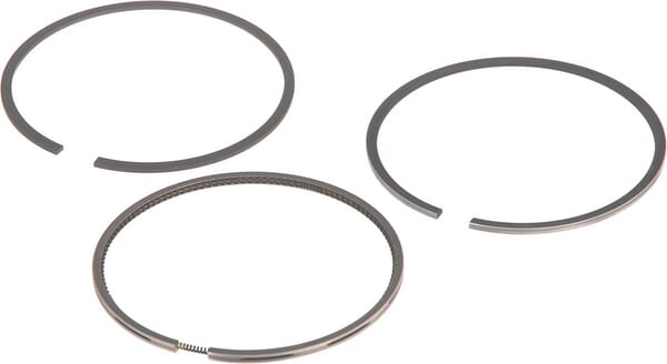 Kolbenringsatz (F199204310030) von Agco