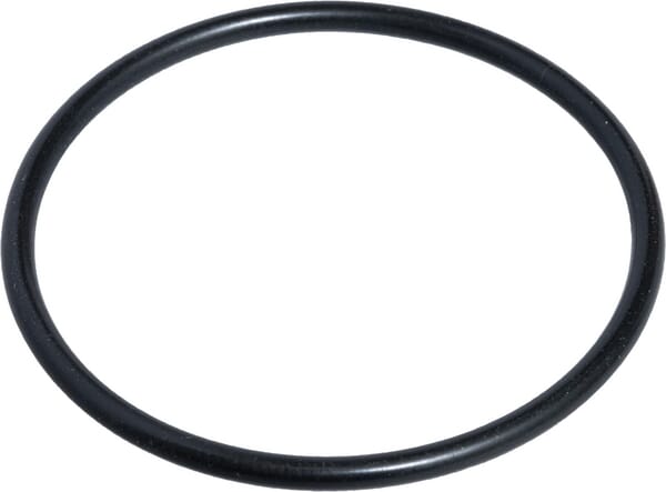 O-Ring (F380306020250) von Agco
