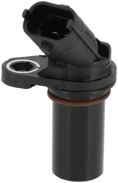 Sensor (1000295187) von Weidemann