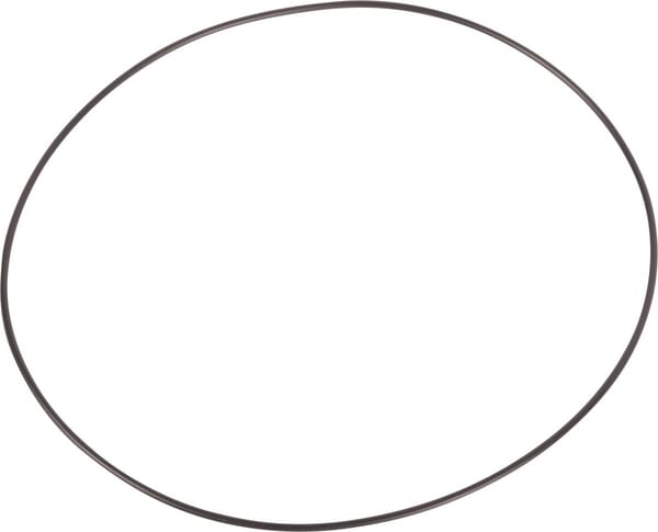 O-ring (3760819M1) von Agco
