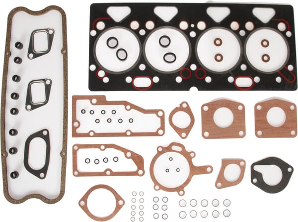 Kompletter Motorsatz (4224189Z91) von Agco