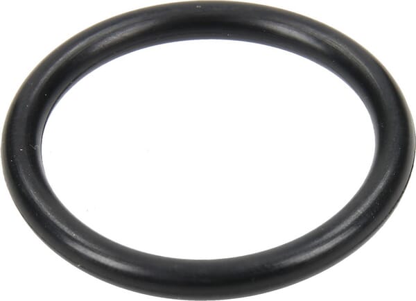 12100034 O-Ring O-Ring 12100034