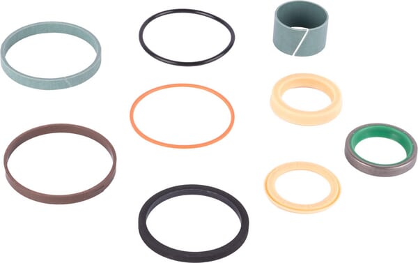 Packings set (1543256C1) von Case IH