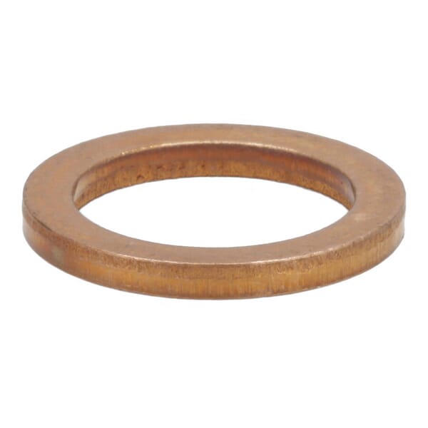 Dichtring von Deutz 01181985