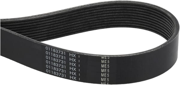 Keilriemen (F954200040010) von Agco